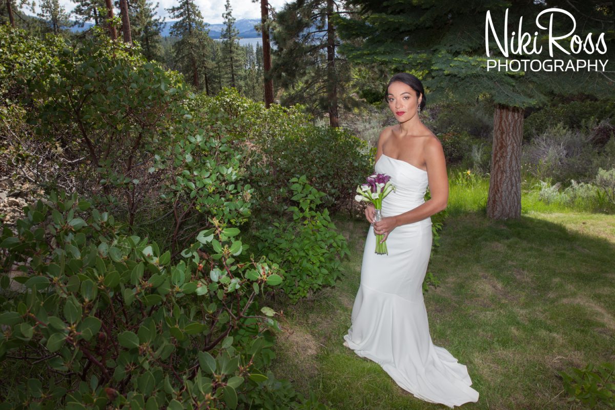 backyard wedding in South Lake Tahoe